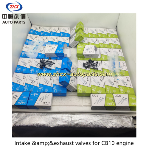 Příjem a výfukové ventily pro motor Changan CB10
