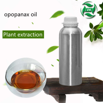 Parsnip oil OEM processing single essential oil