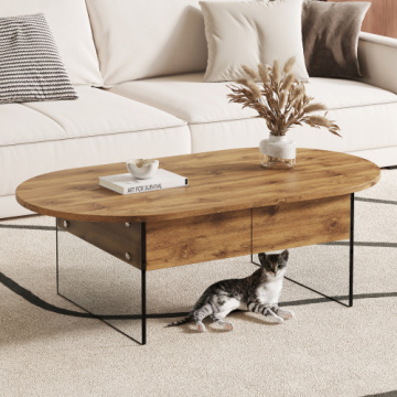 Modern Coffee Table with Drawer and Storage Space