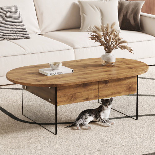 Modern Coffee Table with Drawer and Storage Space