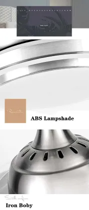 Best Quality Modern Simple Restaurant Ceiling Fan Light