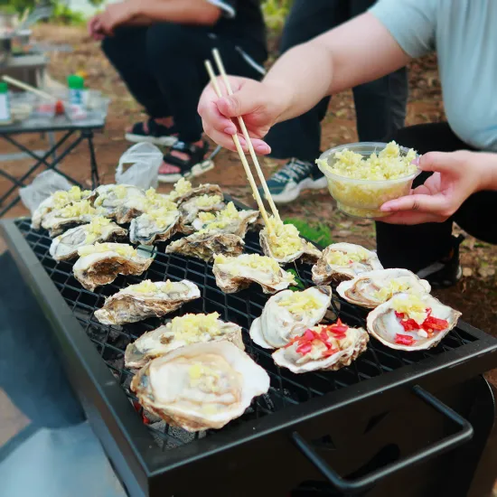 Campfire Grill: Heavy Duty Steel Grate for Outdoor Open Flame Cooking - Portable BBQ Over Fire