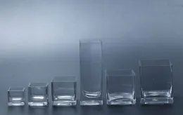 Square glass vase SF001-006