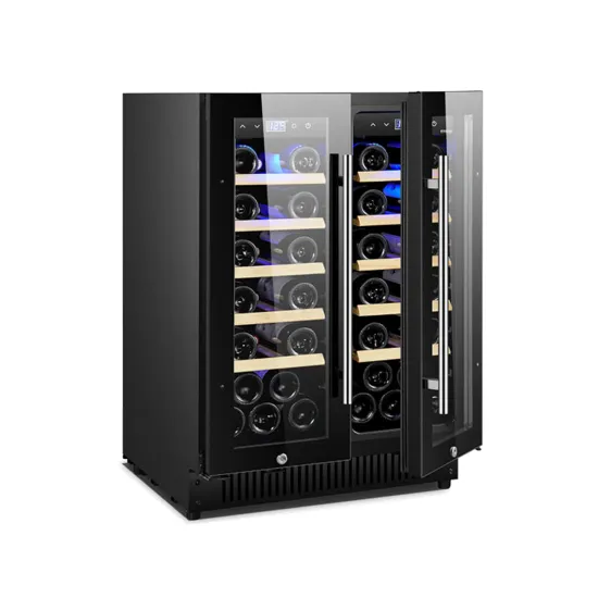 Black Dual Freestanding Wine Cooler Refrigerator for Home