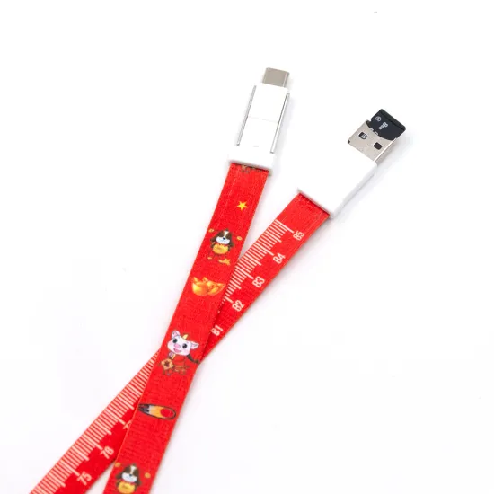 Phone Lanyard Holder Neck Strap Charging Cable Data Cord For IPhone Micro-USB Type-C