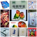 Digital UV Inkjet Flatbed Printer For Sale