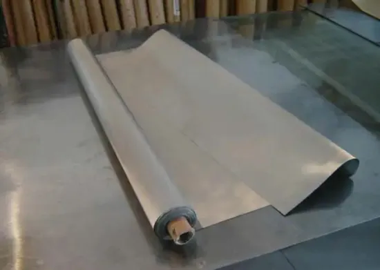 30micro ss dutch wire cloth