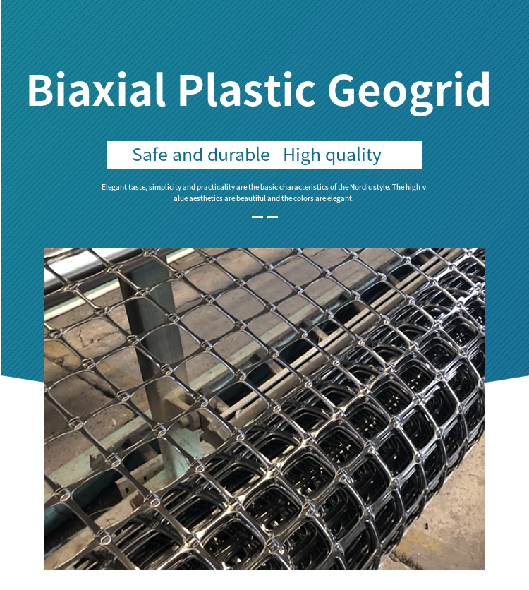 plastic geogrid (2)