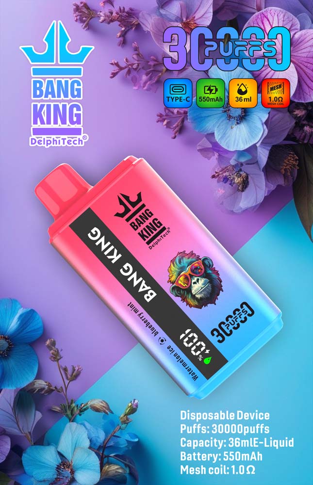 Hot Sale Bang King 30000 ราคาขายส่งใหม่