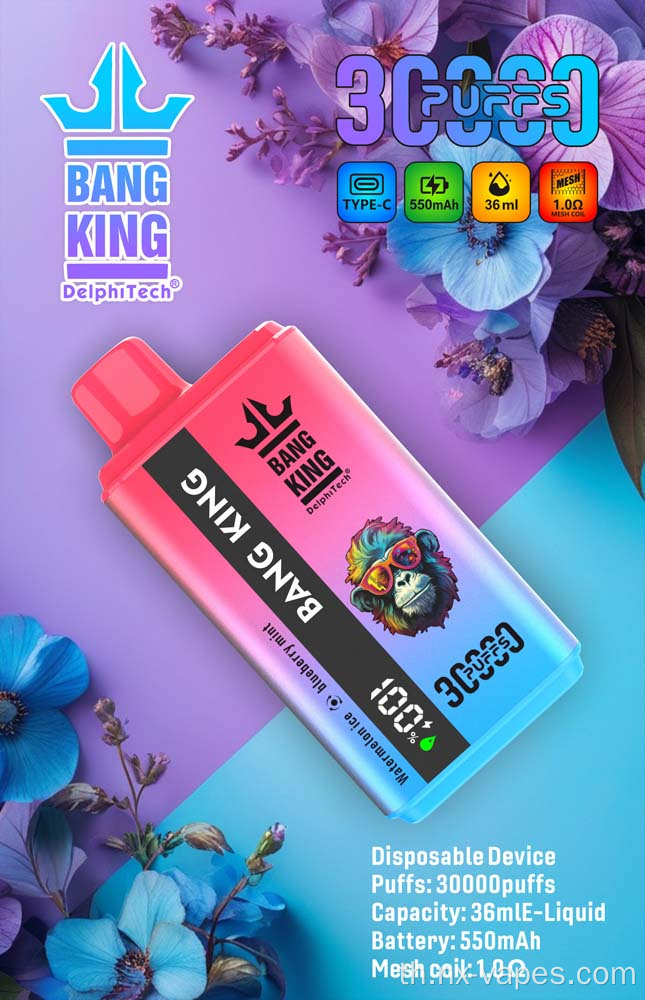 Vapes Vapes Bang King 30000puffs