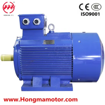 AC Electrical Three Phase Induction Motor (3HMI-355S-1-110)