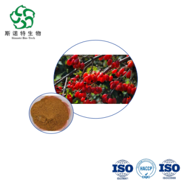 Premium Cornus Officinalis Extract Powder Bulkbuy with Loganin 7%-10%