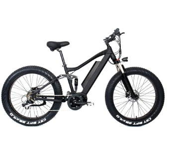 electric mountain bike