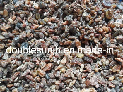 Industrial Raisin for Making Vinegar or Wine or Concentrate
