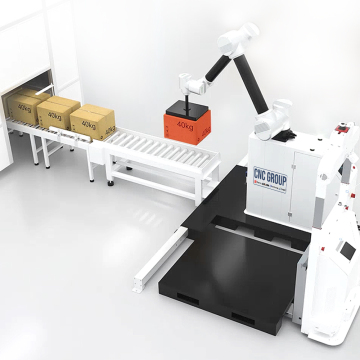 Express Carton sắp xếp robot palletizing để bán