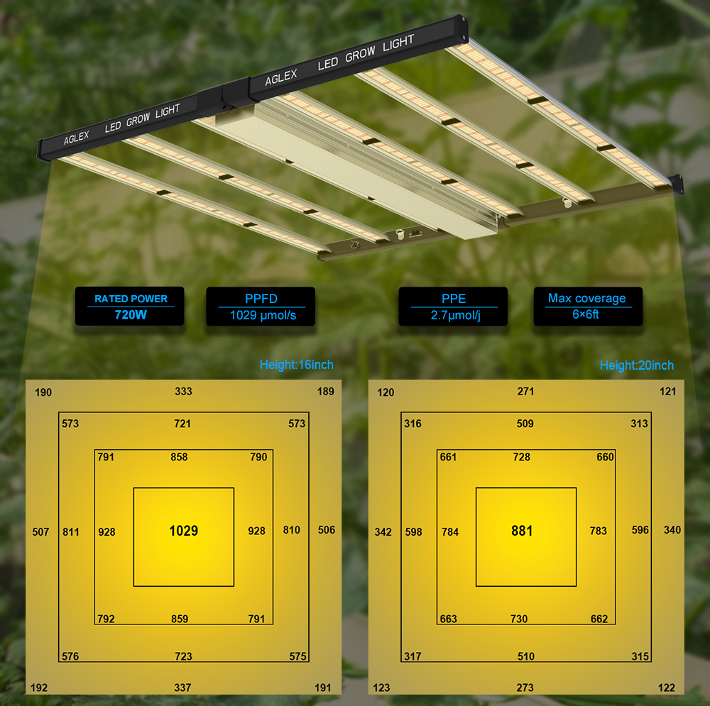 LED LED LED LED LED เติบโต 720W พืชเจริญเติบโต