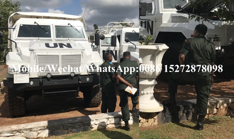 Desert Off Road 4x4 6x6 Military Army Truck (12)