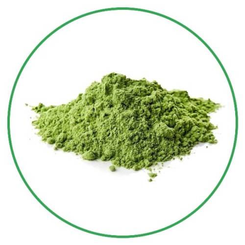 High quality food grade organic broccoli extract powder