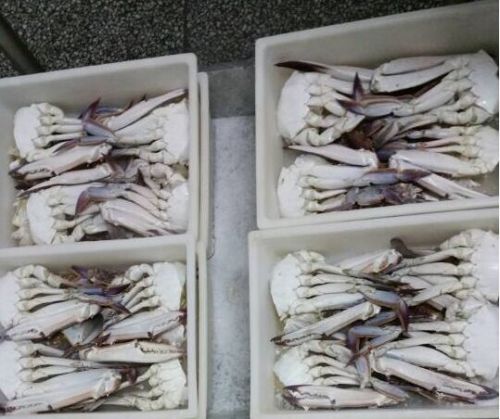 Supermarket menjual beku dipotong kepiting