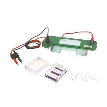 Capillary Electrophoresis Imaging System Directory