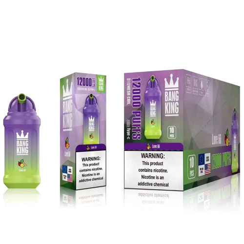 Bang King 12000 Puffs Rechargeable Disposable Vape Netherlands