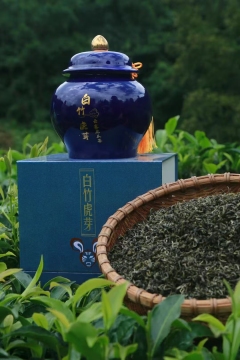 Baizhu Huya Cloud Mist Dragon Claw Tea