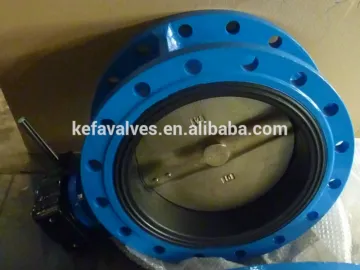 Double flange butterfly valve