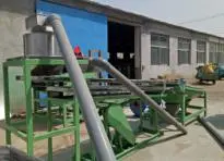 Cashew Nuts Cleaning and Processing Machine