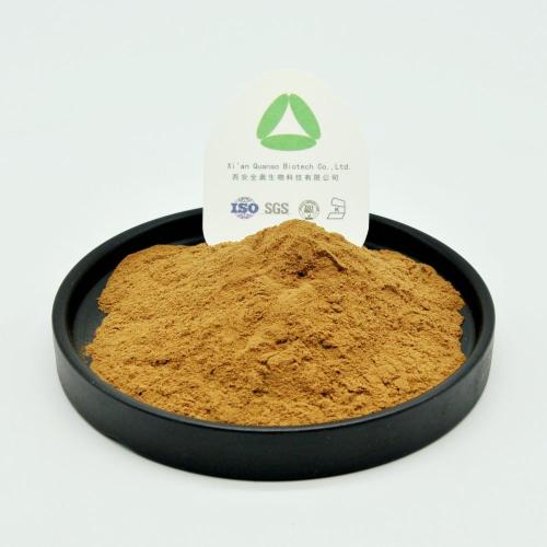 Coptis Chinensis استخراج مسحوق بربرين هيدروكلوريد 98٪