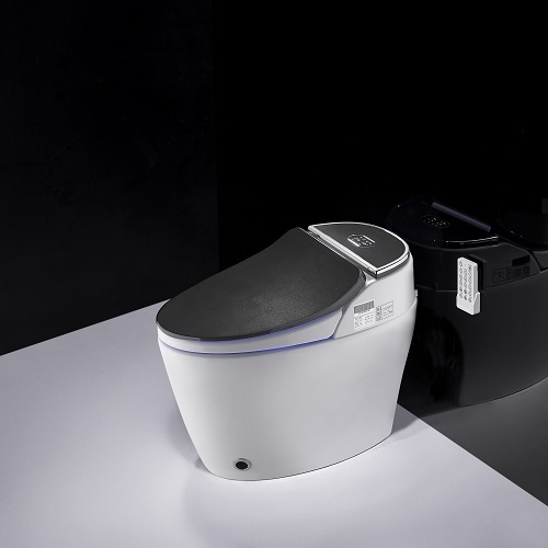 One Piece Toilet Black Floor Mounted Smart Toilet Supplier