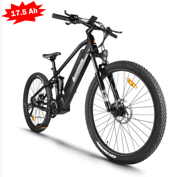 Accolmile Bafang 750w 48V Full Suspension Electric Mountain Bike