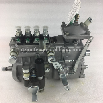 BHF4PL090 F3100-1111100B-172 4PL242A 1727D1000104 Kraftstoffeinspritzpumpe für YC492ZLQ-Motor