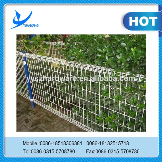 All of kinds wire mesh fence
