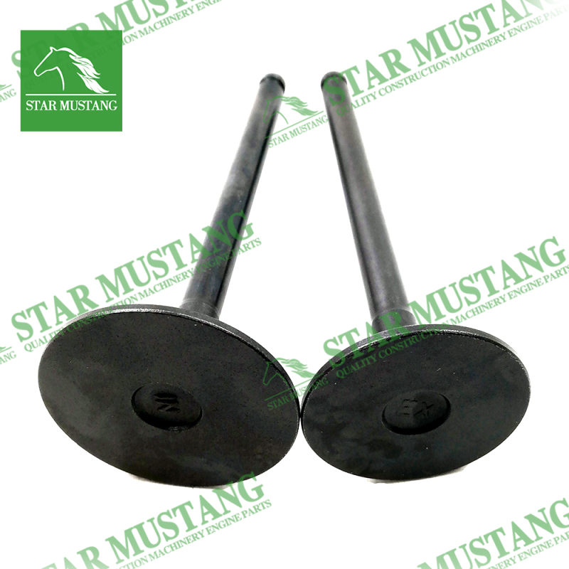TD42 Engine Valve for Nissan Diesel Machinery Parts