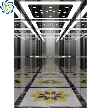 High-Quality, Low-Noise 450kg Passenger Elevator - Webstar Fuji Elevator