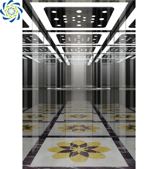 High-Quality, Low-Noise 450kg Passenger Elevator - Webstar Fuji Elevator