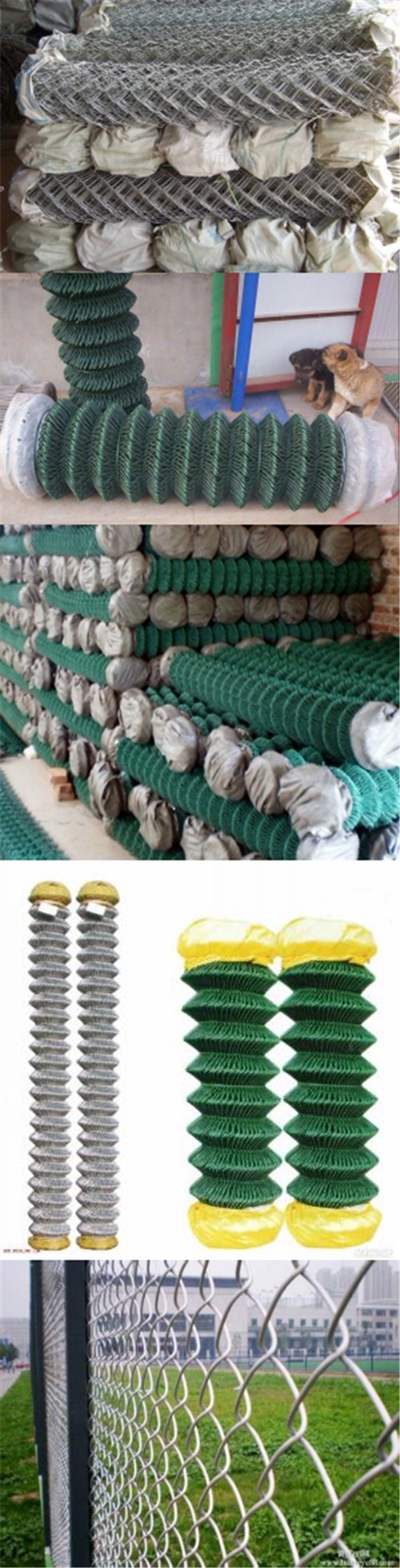 PVC Coated Galvanized Chain Link Fence/ Chain Link Wire Mesh