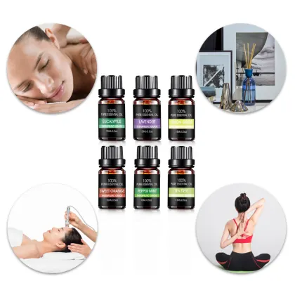 Wholesale OEM 6 Bottle Therapeutic Massage Essential Oil Kit - 100% Pure Essential Oils