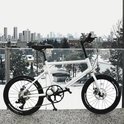 SL2003-8S Shimano 8-Speed Derailleur Bicycle