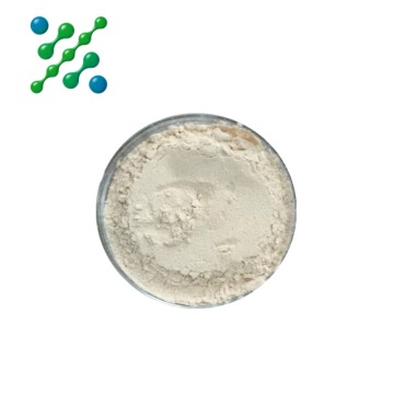 Veterinary thiamphenicol oral solution