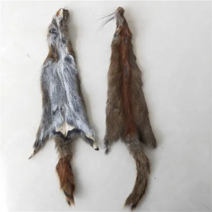 Top quality Tanned Natural Hamster Pelt Hamster Skins