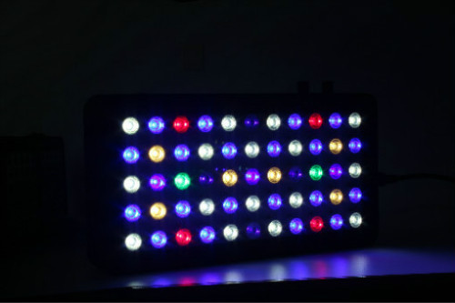 I migliori acquari a LED per acquari Reef