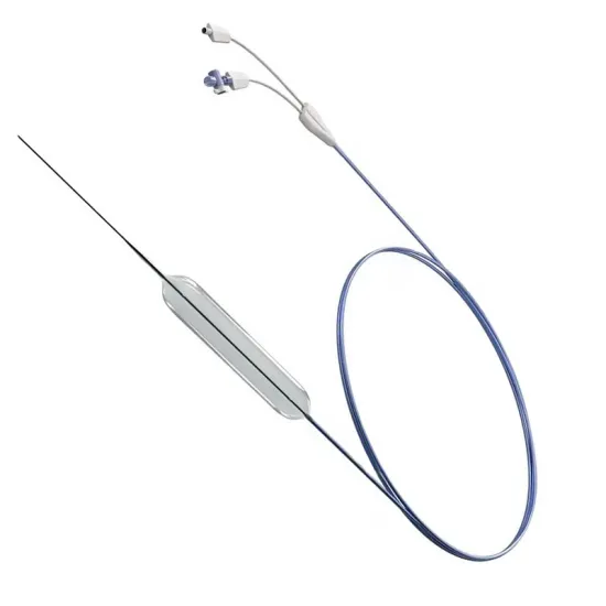 Disposable PTA Balloon Dilatation Catheter: A Treatment Option for Digestive Tract Dilation
