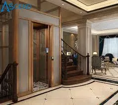CE Certified Traction Residential Lift for Small Houses and Villas
