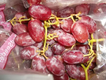 Crimson Grapes