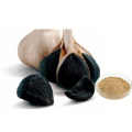 Solo Black Garlic και Black Garlic Fermenter