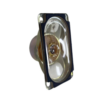 Loudspeaker for Fuel Dispenser