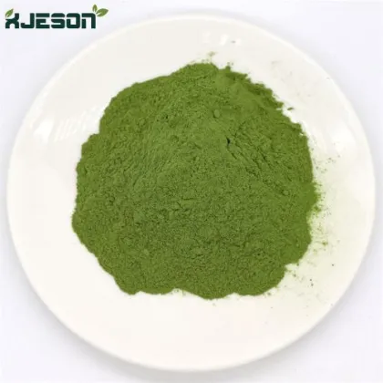 lose weight cassia angustifolia seed extract powder