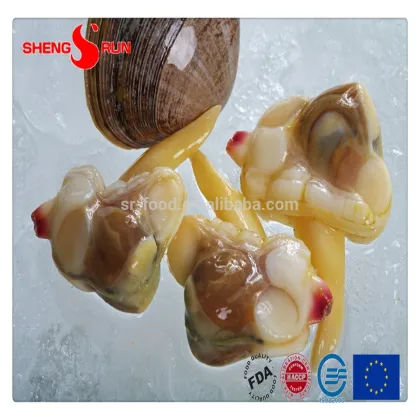 Frozen IQF Surf clam meat gutted