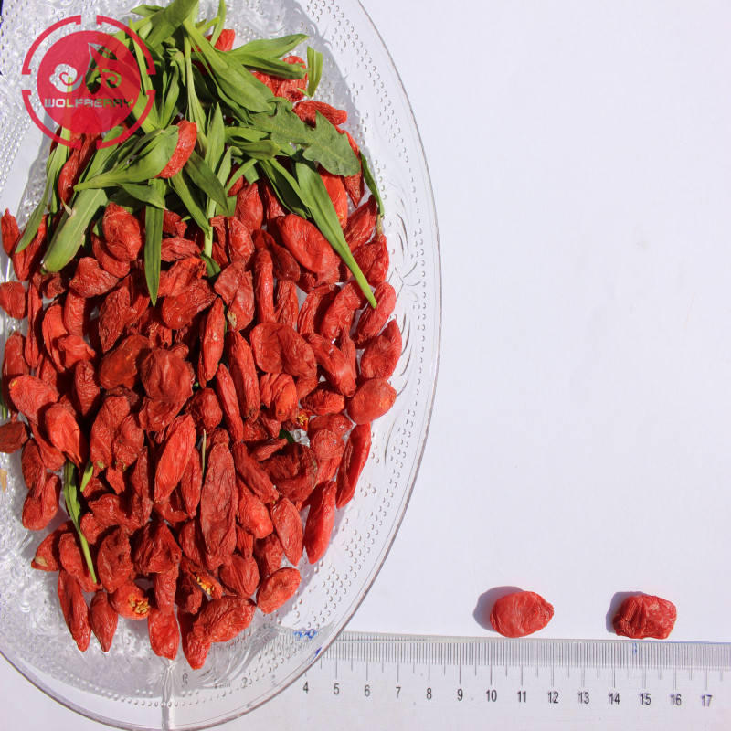 Goji-Beere / Wolfberry / organische Gojibeere der neuen Ernte